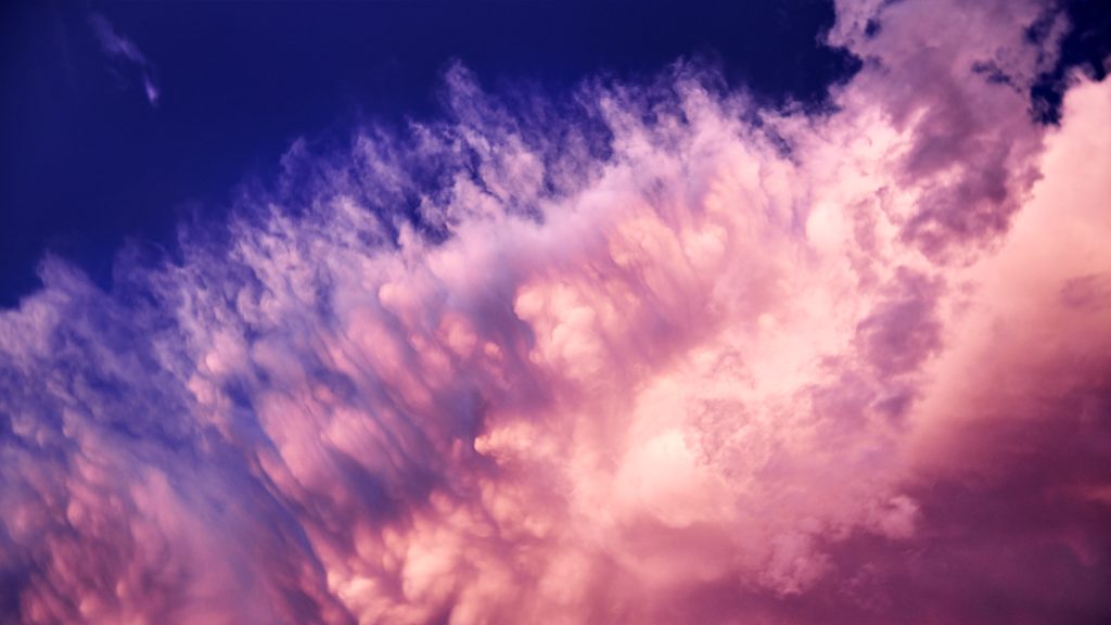 New Year Celebration